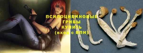 гидра Гусев