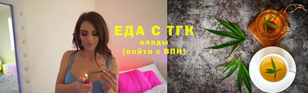 гидра Гусев