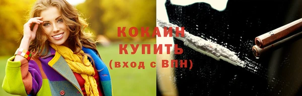 гашик Гусь-Хрустальный