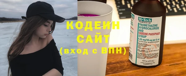 гашик Гусь-Хрустальный