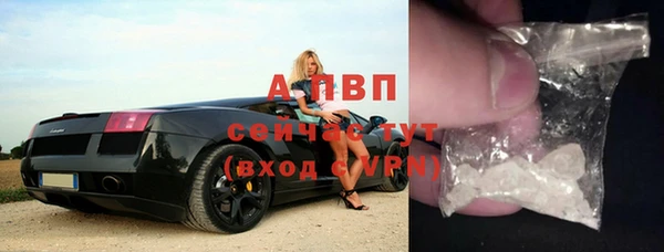 гашик Гусь-Хрустальный