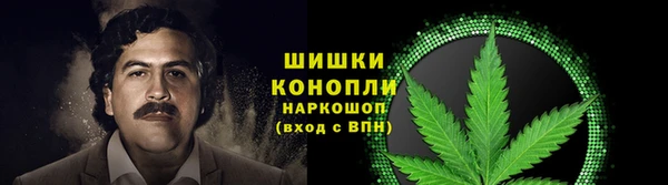 гидра Гусев