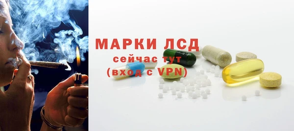 гидра Гусев