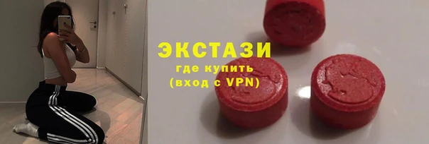 гидра Гусев