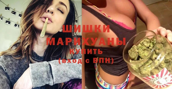 дживик Гусиноозёрск