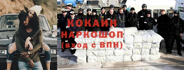 гашик Гусь-Хрустальный