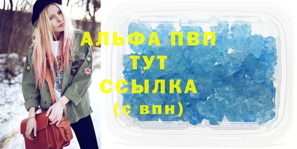 гашик Гусь-Хрустальный