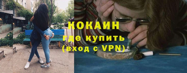 гидра Гусев