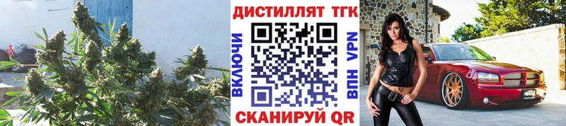 ТГК гашишное масло  Купить  Сальск 