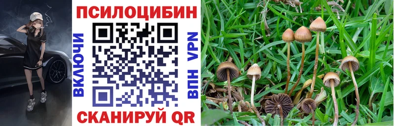 Купить закладки  Сальск  Галлюциногенные грибы Magic Shrooms 