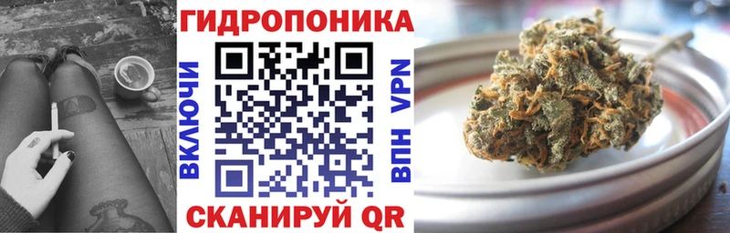 Купить  Сальск  МАРИХУАНА планчик 